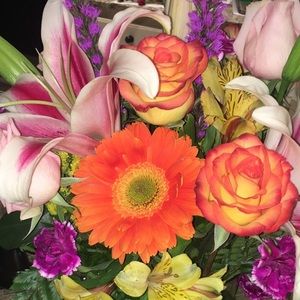 Meet your Posher, Jordan